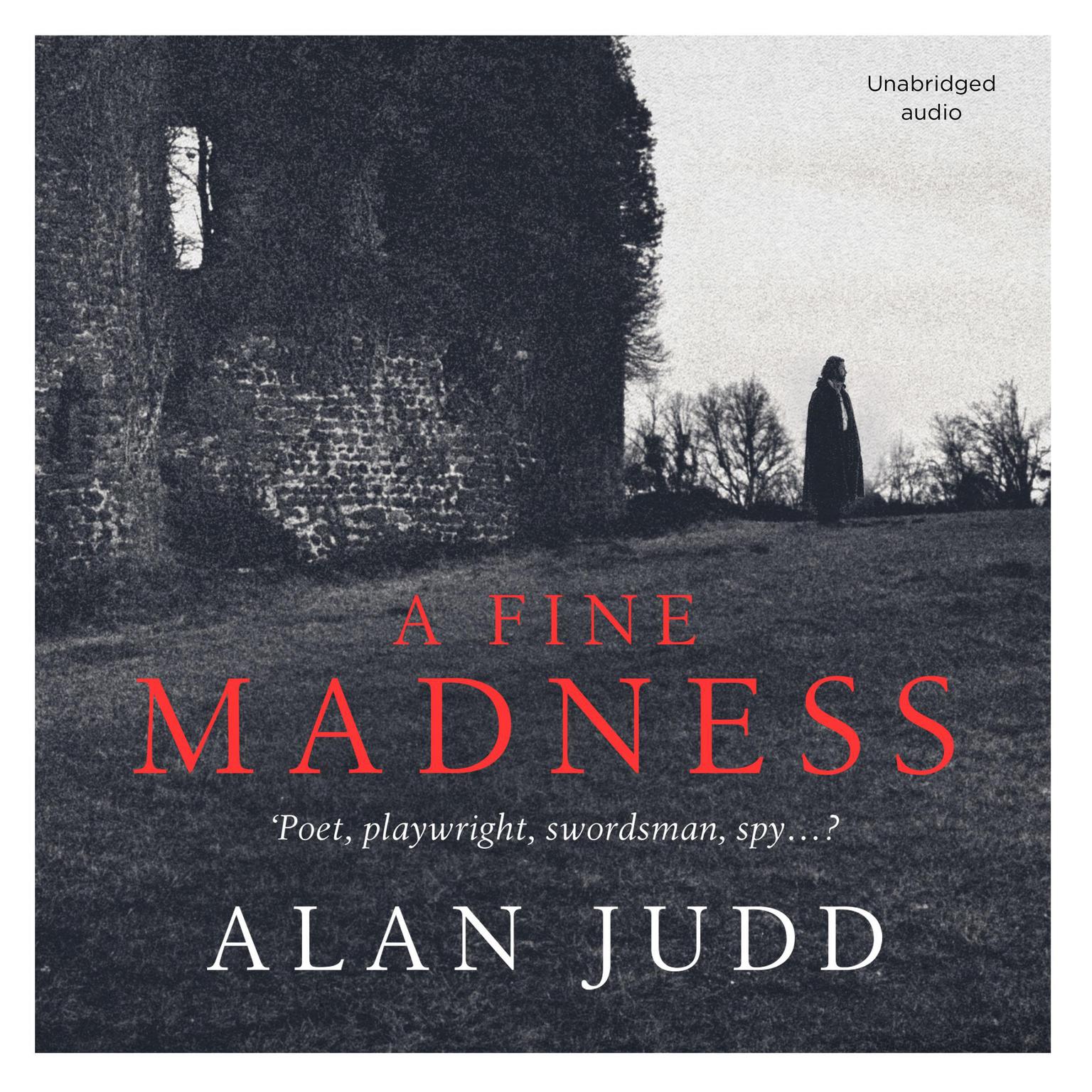 A Fine Madness: Sunday Times Historical Fiction Book of the Month Audiobook, by Alan Judd