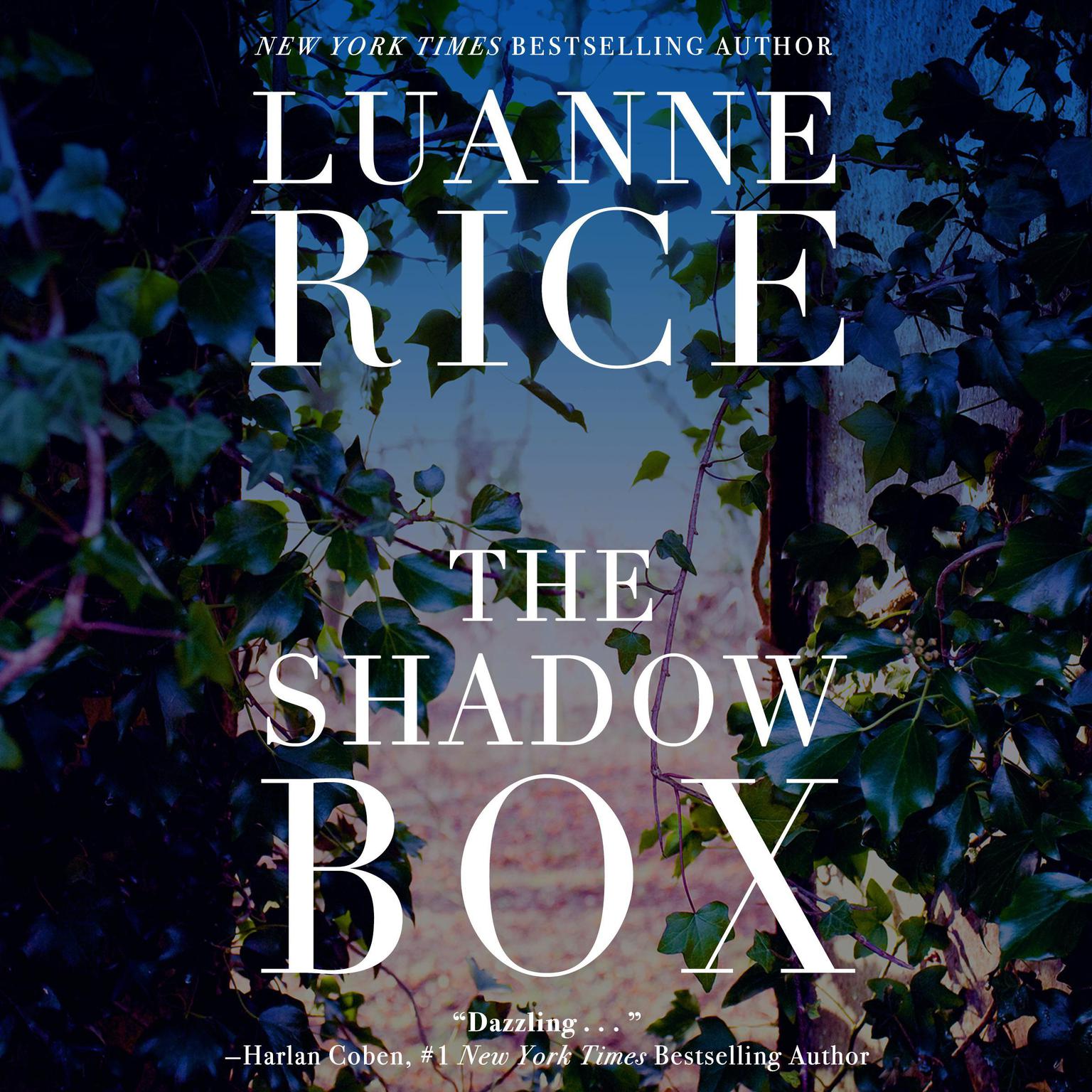 The Shadow Box Audiobook, by Luanne Rice