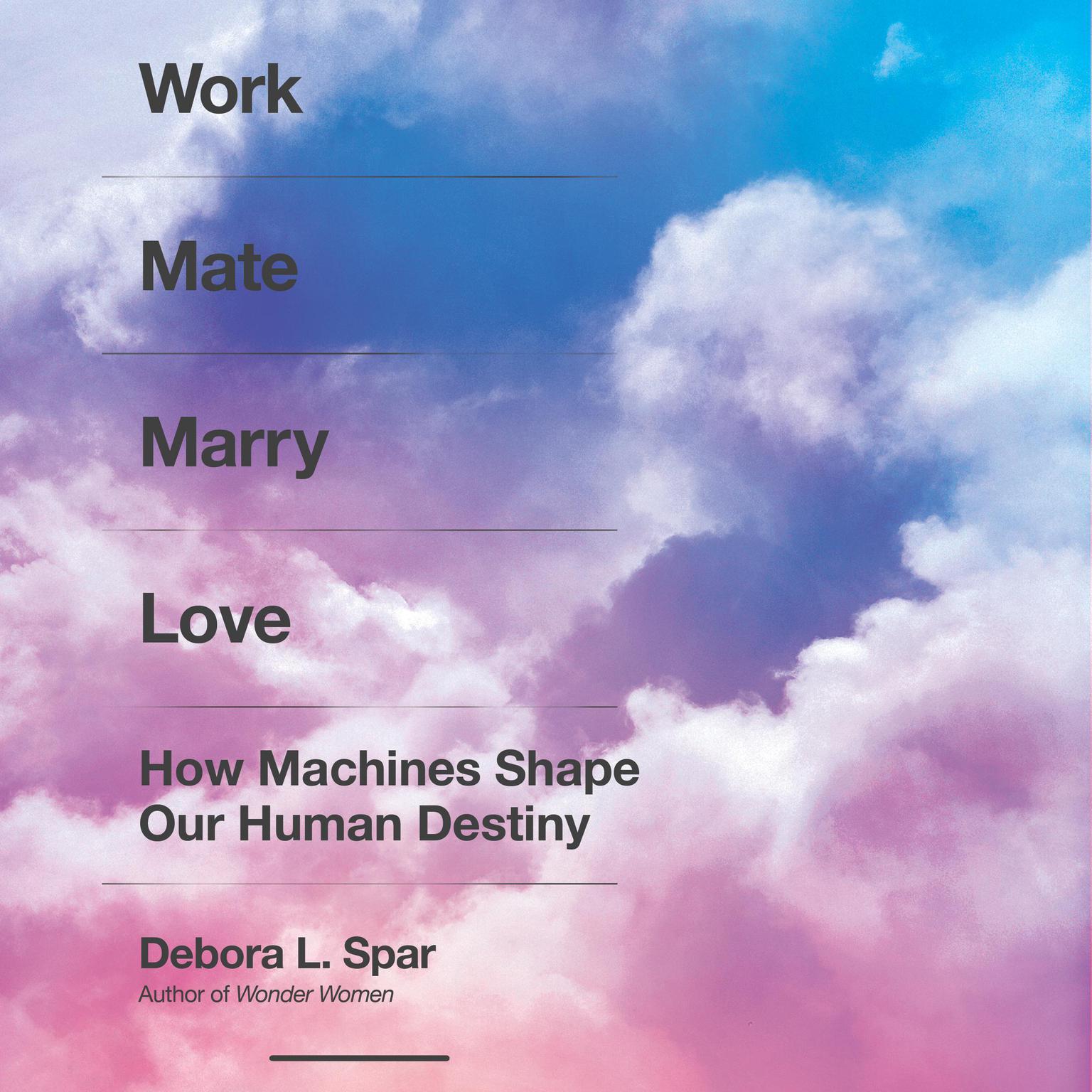 Work Mate Marry Love: How Machines Shape Our Human Destiny Audiobook, by Debora L. Spar