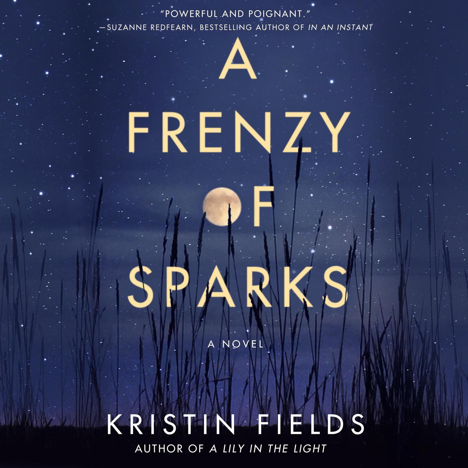 A Frenzy of Sparks: A Novel Audiobook, by Kristin Fields