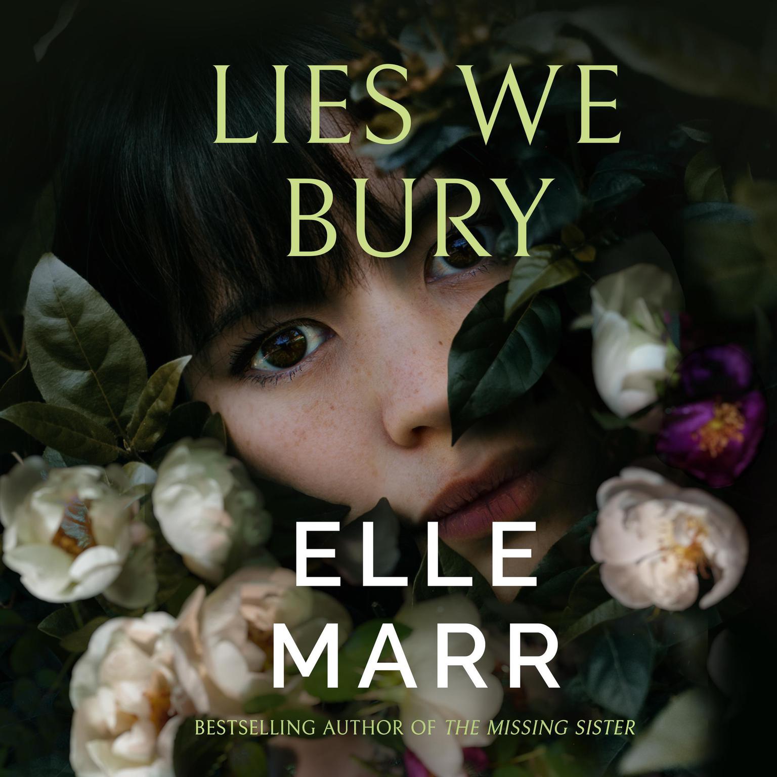 Lies We Bury Audiobook, by Elle Marr