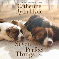Seven Perfect Things: A Novel Audiobook, by Catherine Ryan Hyde