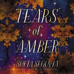 Tears of Amber Audiobook, by Sofia Segovia