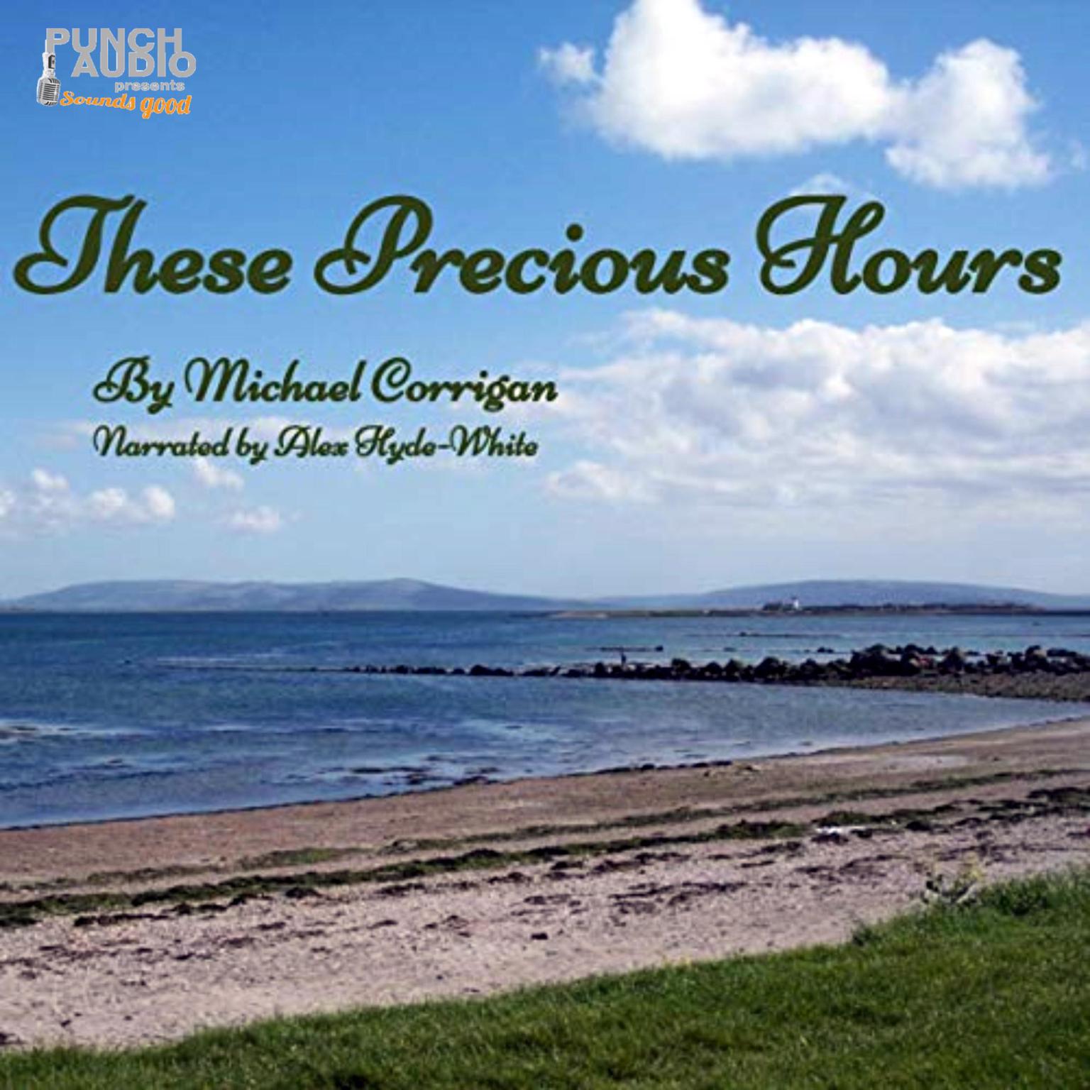 These Precious Hours Audiobook, by Michael Corrigan