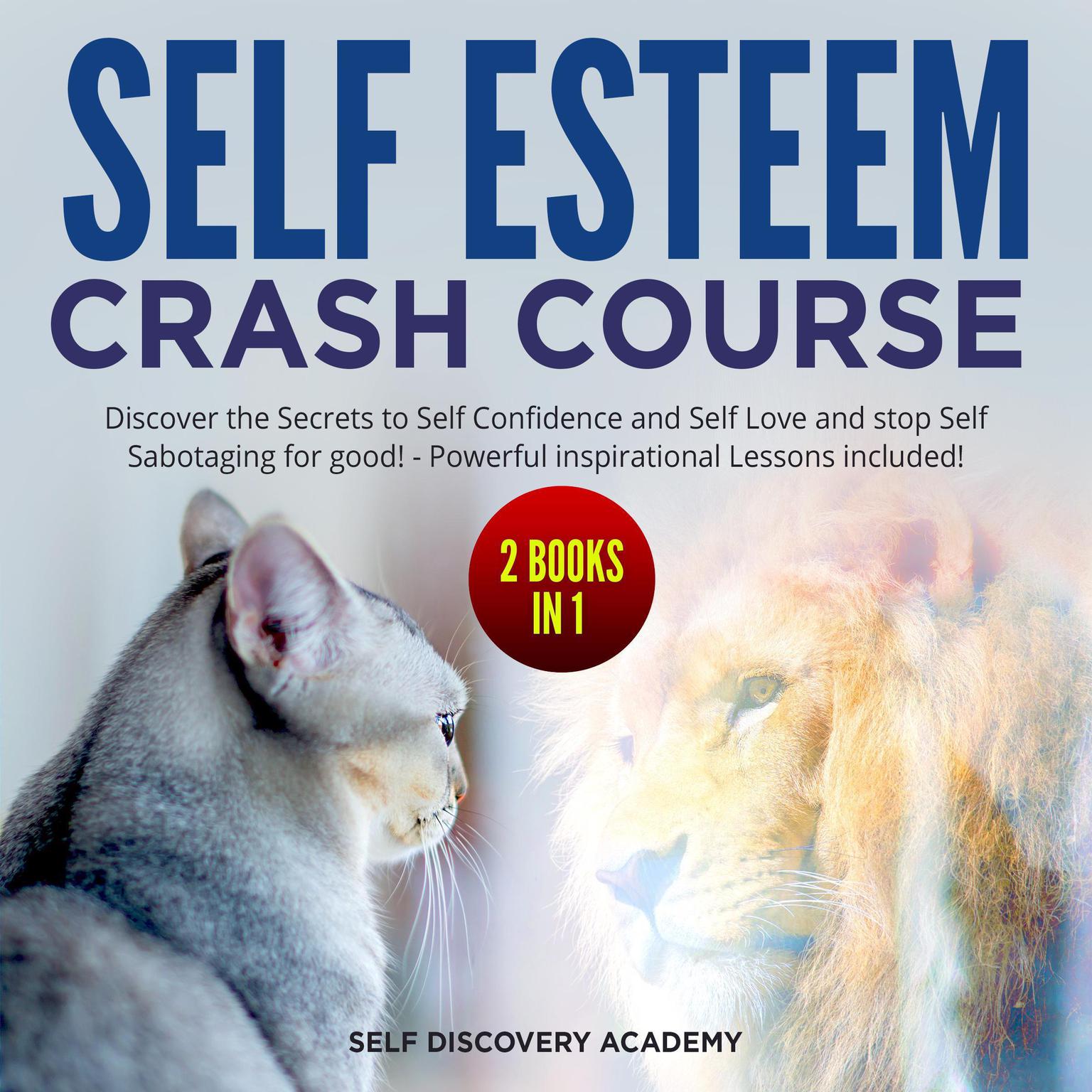 Self Esteem Crash Course – 2 Books in 1: : Discover the Secrets to Self Confidence and Self Love and stop Self Sabotaging for good! - Powerful inspirational Lessons included! Audiobook, by Self Discovery Academy