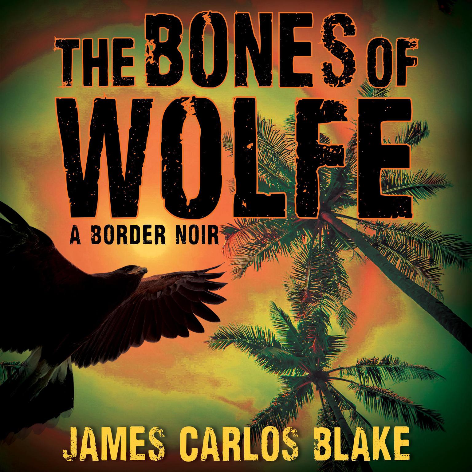 The Bones of Wolfe: A Border Noir Audiobook, by James Carlos Blake