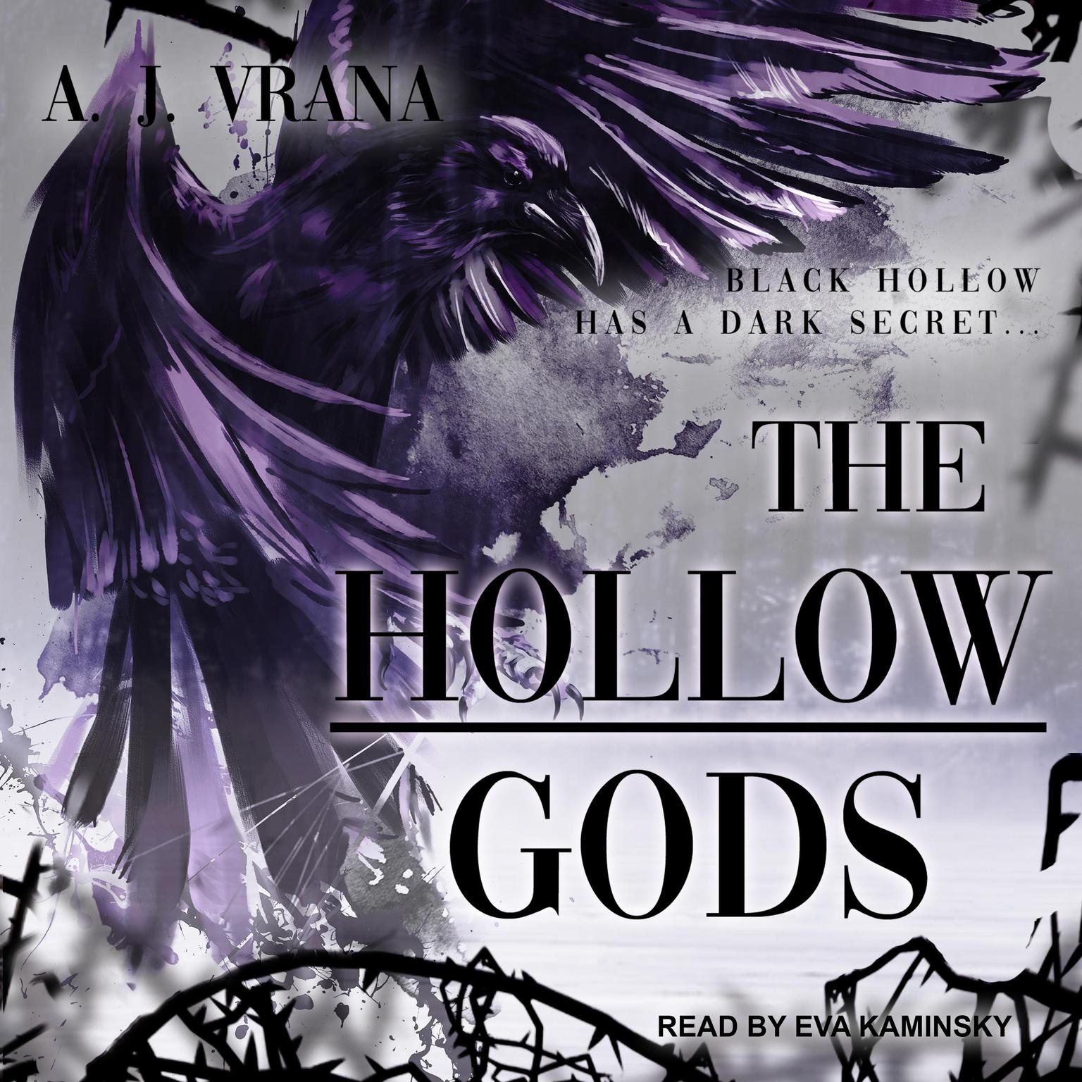 The Hollow Gods Audiobook, by A.J. Vrana