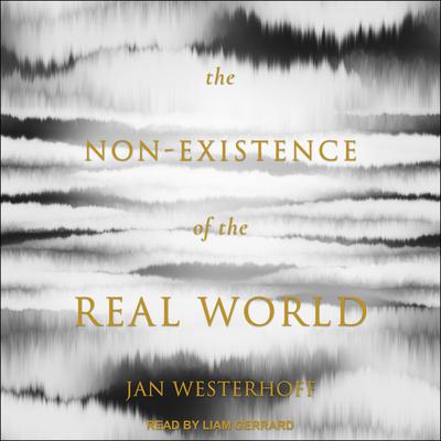 The Non-Existence of the Real World Audiobook, by Jan Westerhoff