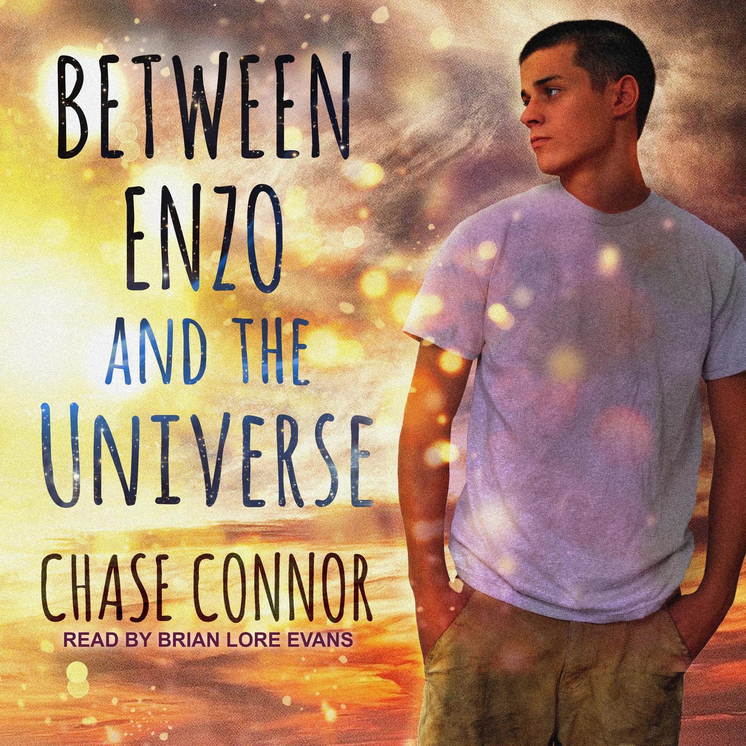 Between Enzo and the Universe Audiobook, by Chase Connor