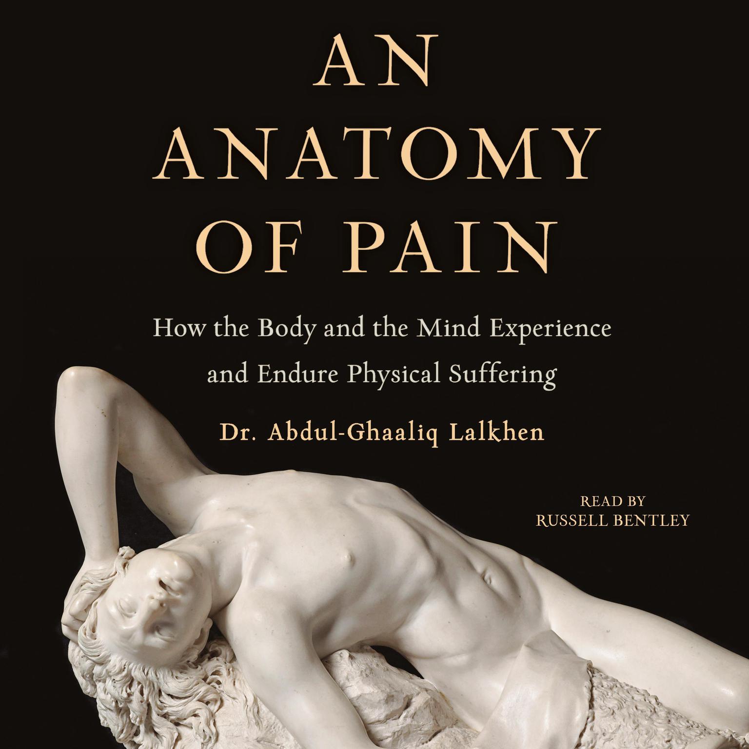 An Anatomy of Pain: How the Body and the Mind Experience and Endure Physical Suffering Audiobook, by Abdul-Ghaaliq Lalkhen