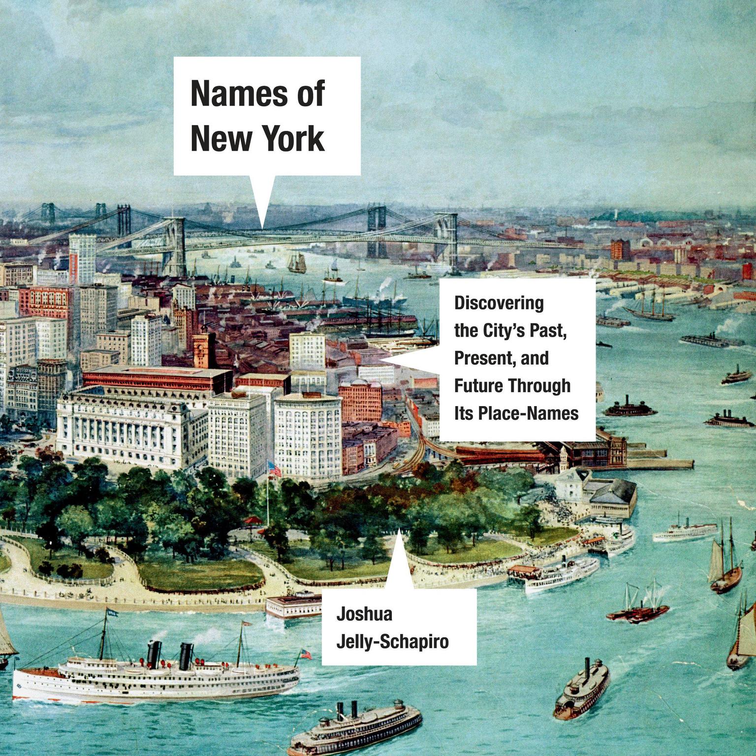 Names of New York: Discovering the Citys Past, Present, and Future Through Its Place-Names Audiobook, by Joshua Jelly-Schapiro