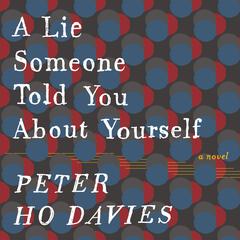 A Lie Someone Told You About Yourself Audiobook, by Peter Ho Davies