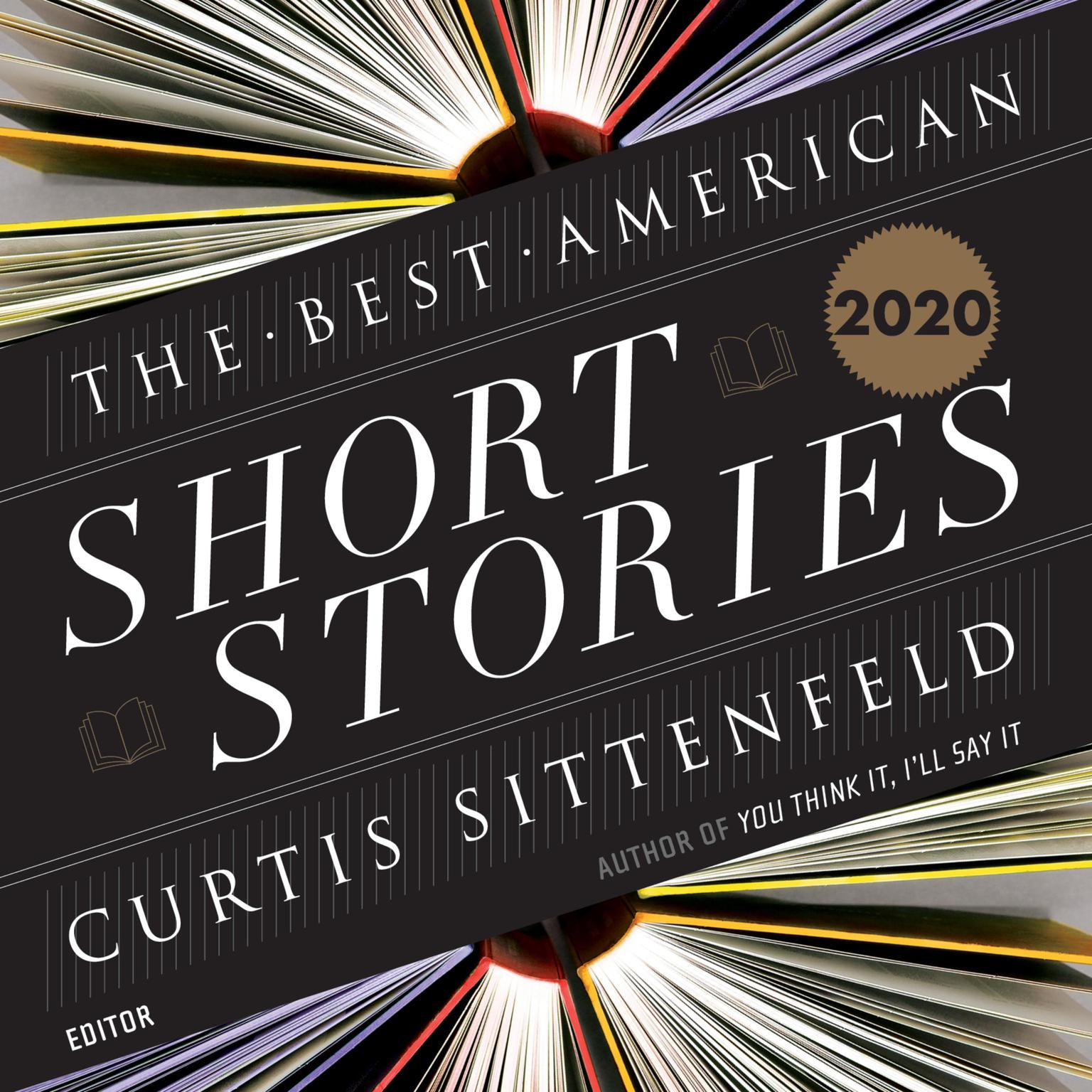 The Best American Short Stories 2020 Audiobook, by Heidi Pitlor