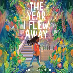 The Year I Flew Away Audiobook, by Marie Arnold