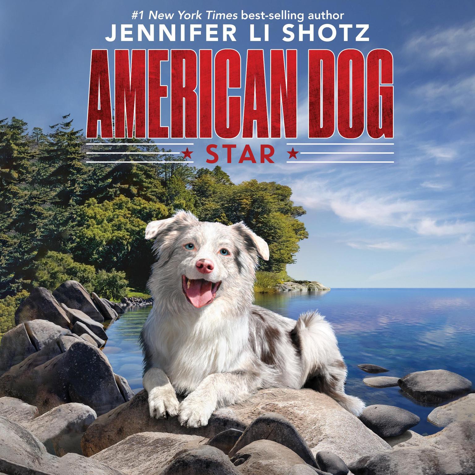 Star Audiobook, by Jennifer Li Shotz