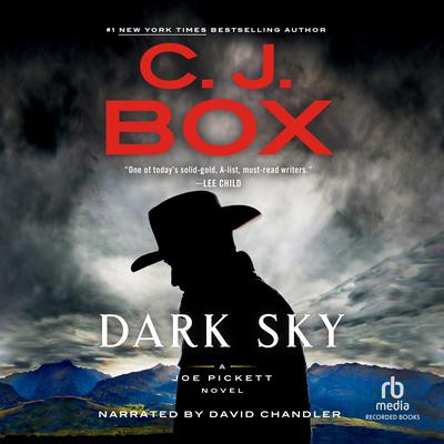 Dark Sky Audiobook, by 