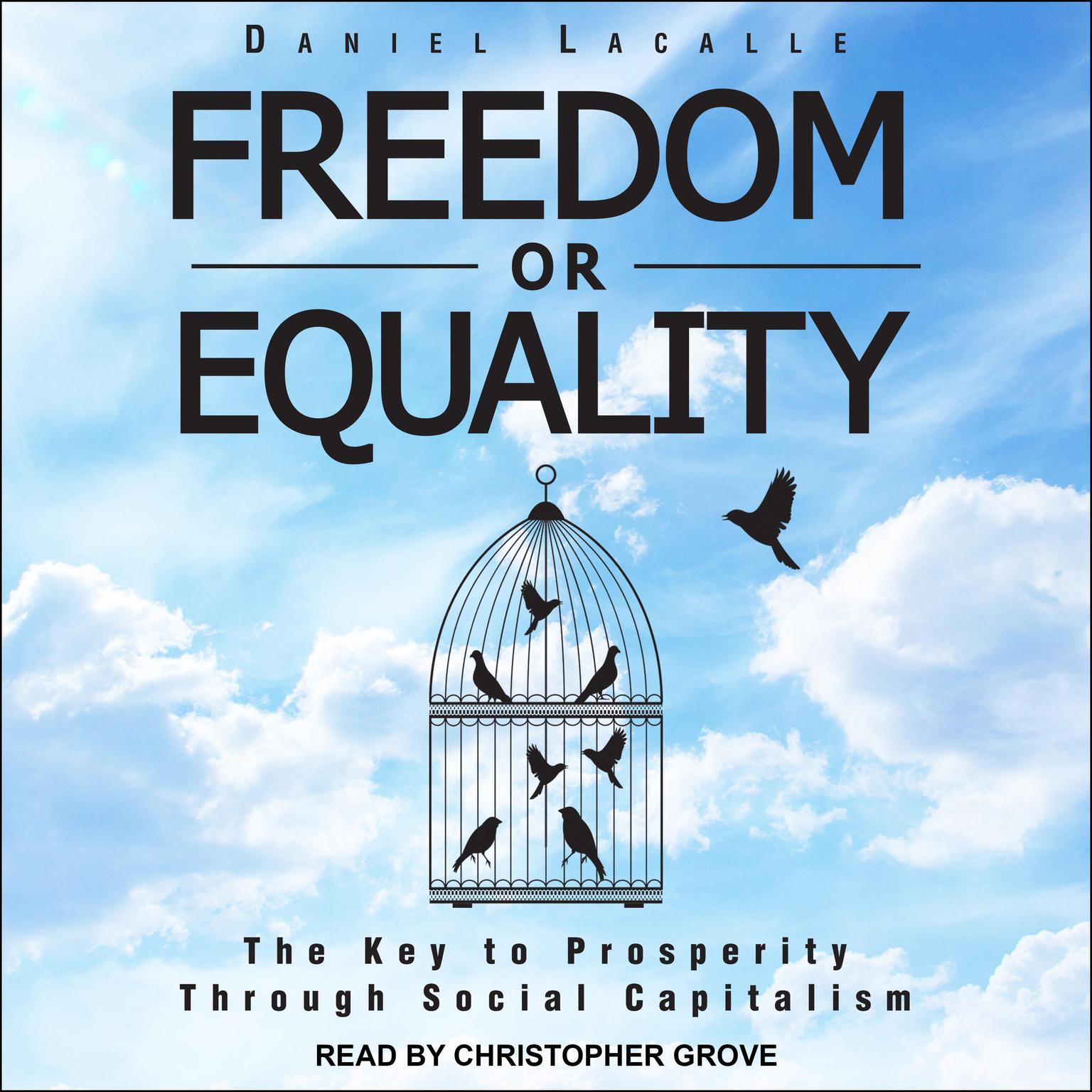 Freedom or Equality: The Key to Prosperity Through Social Capitalism Audiobook, by Daniel Lacalle
