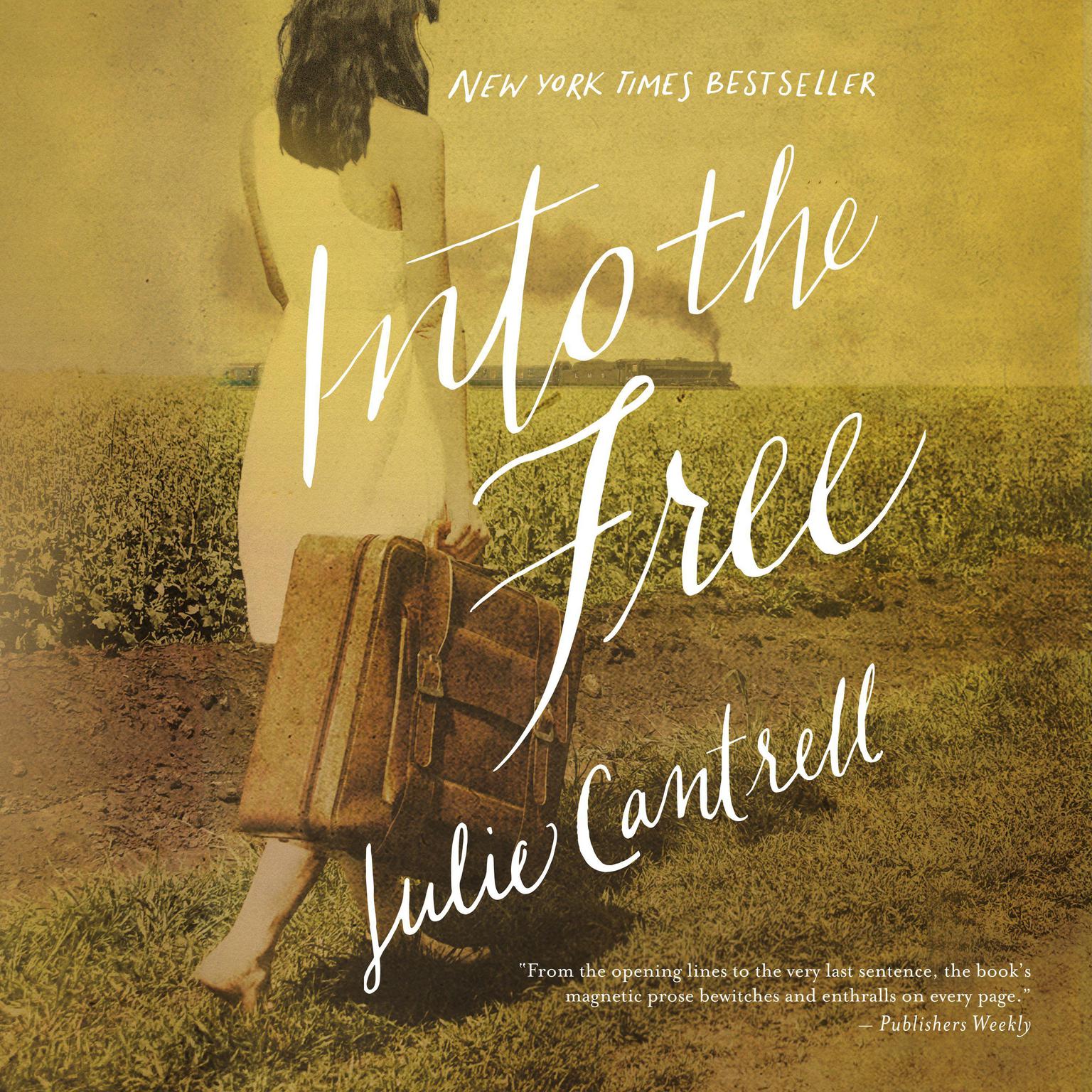 Into the Free Audiobook, by Julie Cantrell