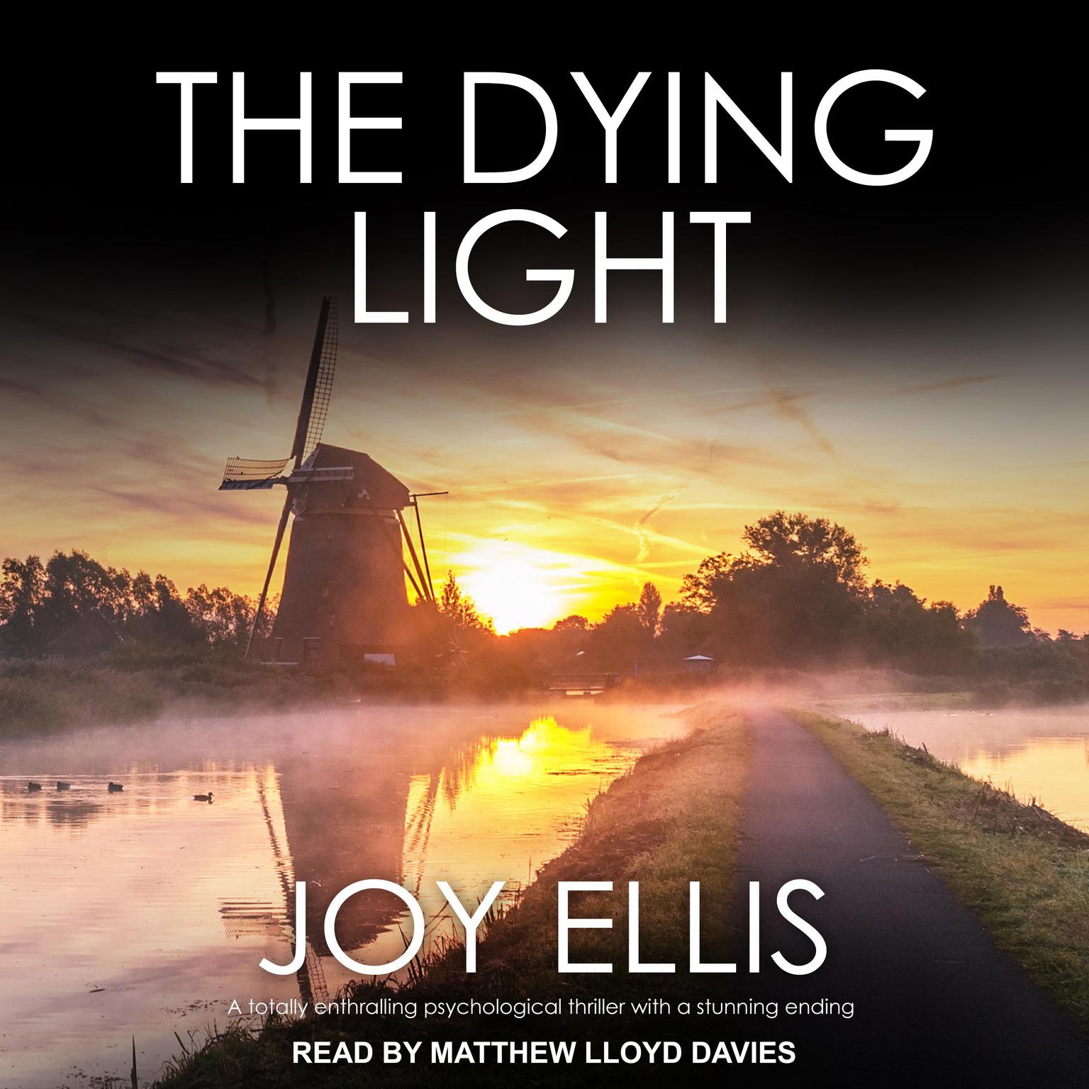The Dying Light Audiobook, by Joy Ellis