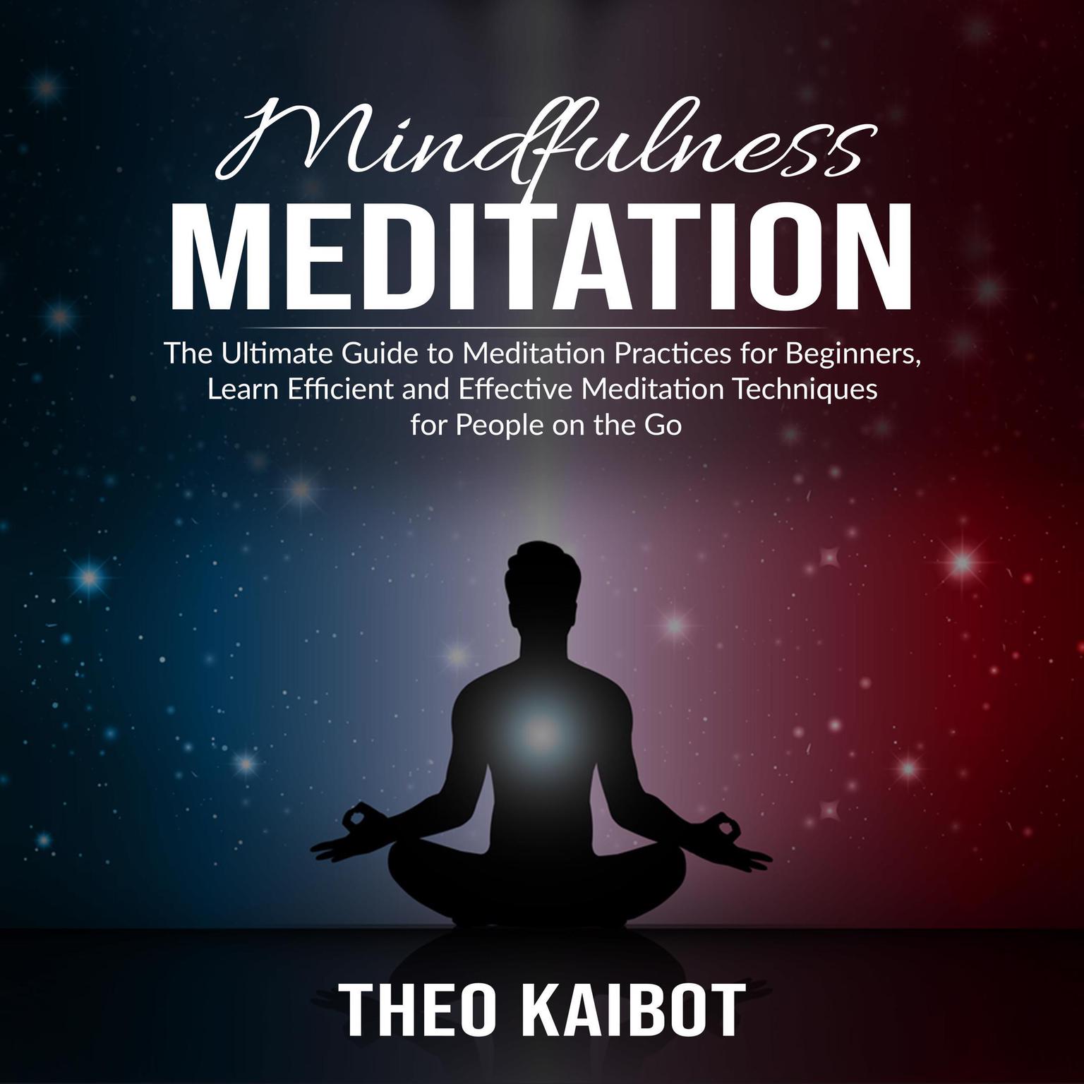 Mindfulness Meditation: The Ultimate Guide to Meditation Practices for Beginners, Learn Efficient and Effective Meditation Techniques for People on the Go Audiobook, by Theo Kaibot