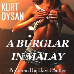 A Burglar In Malay Audiobook, by Kurt Dysan