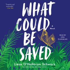 What Could Be Saved: A Novel Audiobook, by Liese O'Halloran Schwarz