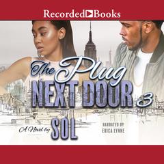 The Plug Next Door 3 Audiobook, by Sol