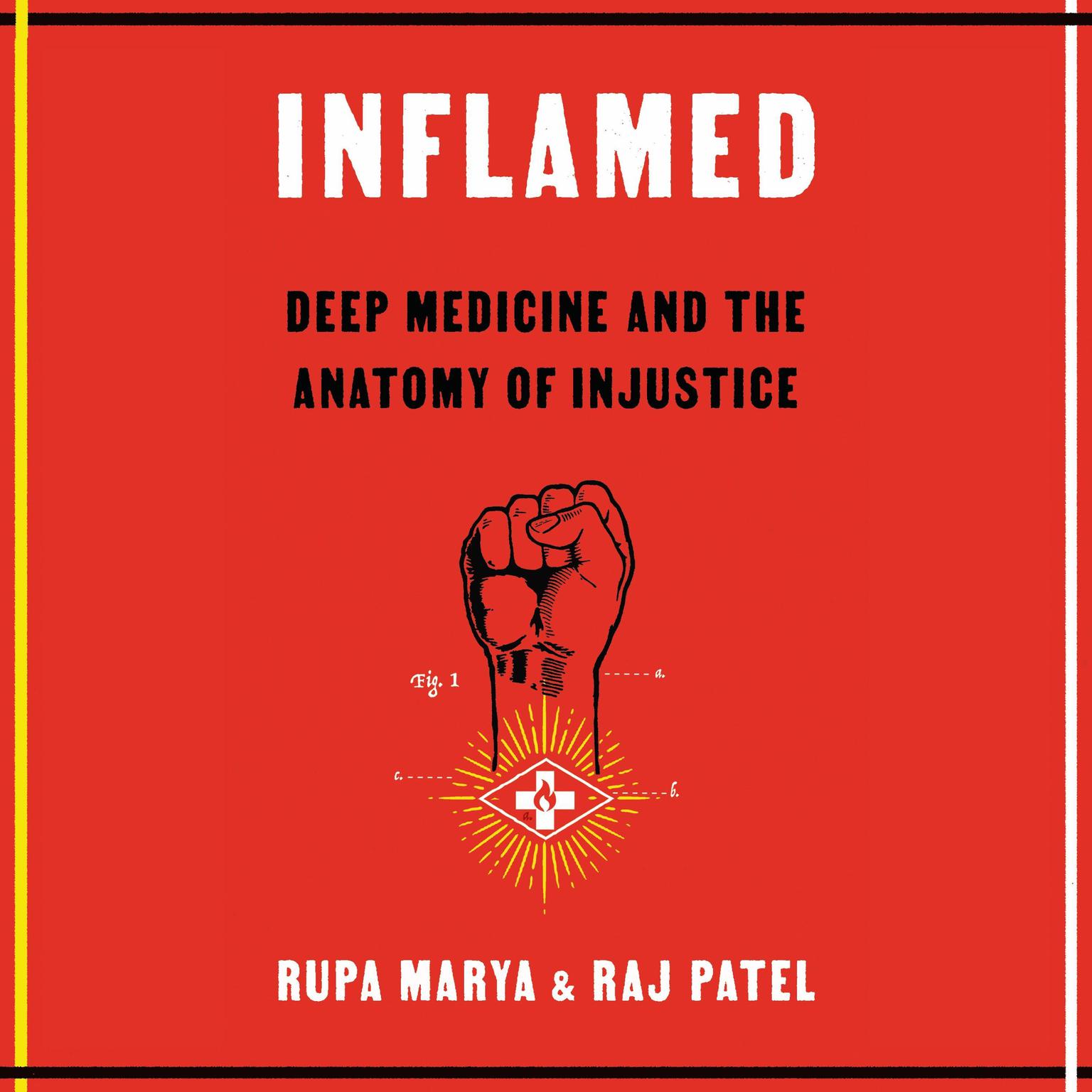 Inflamed: Deep Medicine and the Anatomy of Injustice Audiobook, by Raj Patel