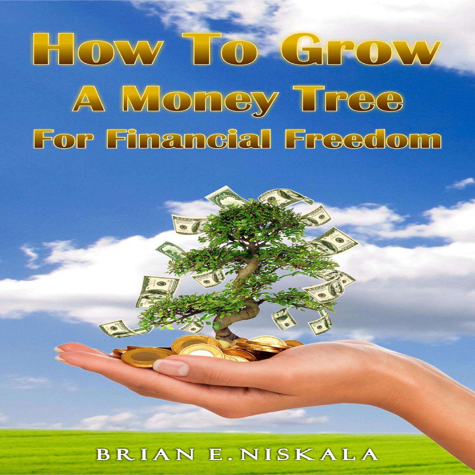 How To Grow a Money Tree for Financial Freedom Audiobook, by Brian E. Niskala