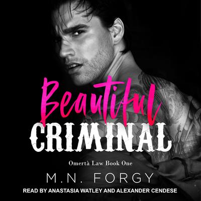 Beautiful Criminal Audiobook, by M. N. Forgy
