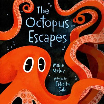The Octopus Escapes Audiobook, by Maile Meloy
