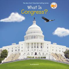 What Is Congress? Audiobook, by Jill Abramson