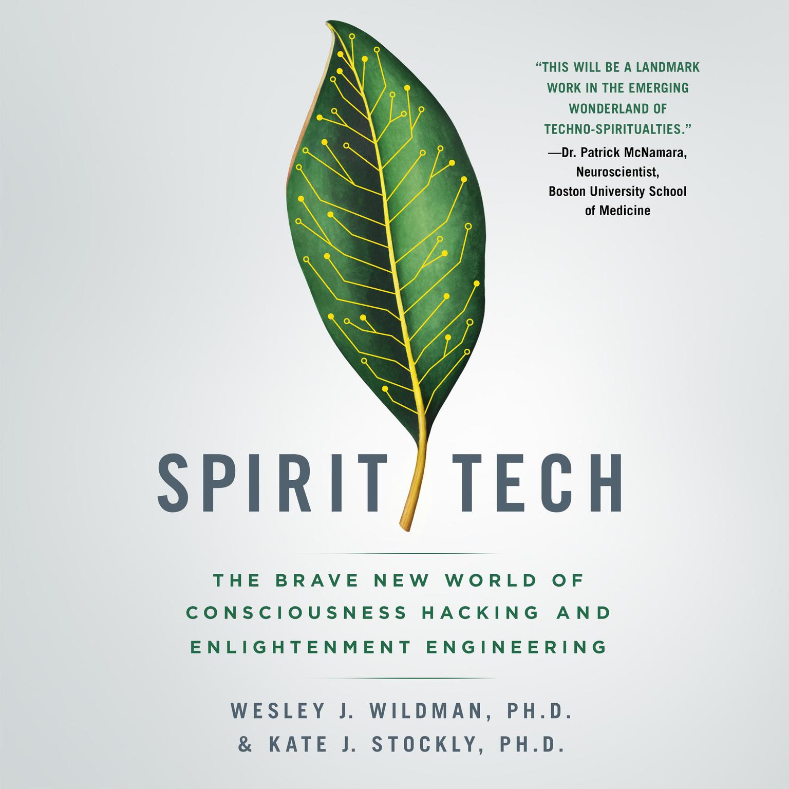 Spirit Tech: The Brave New World of Consciousness Hacking and Enlightenment Engineering Audiobook, by Kate J. Stockly