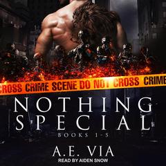 Nothing Special Series Box Set: Books 1-5 Audiobook, by A.E. Via