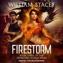 Firestorm Audiobook, by William Stacey