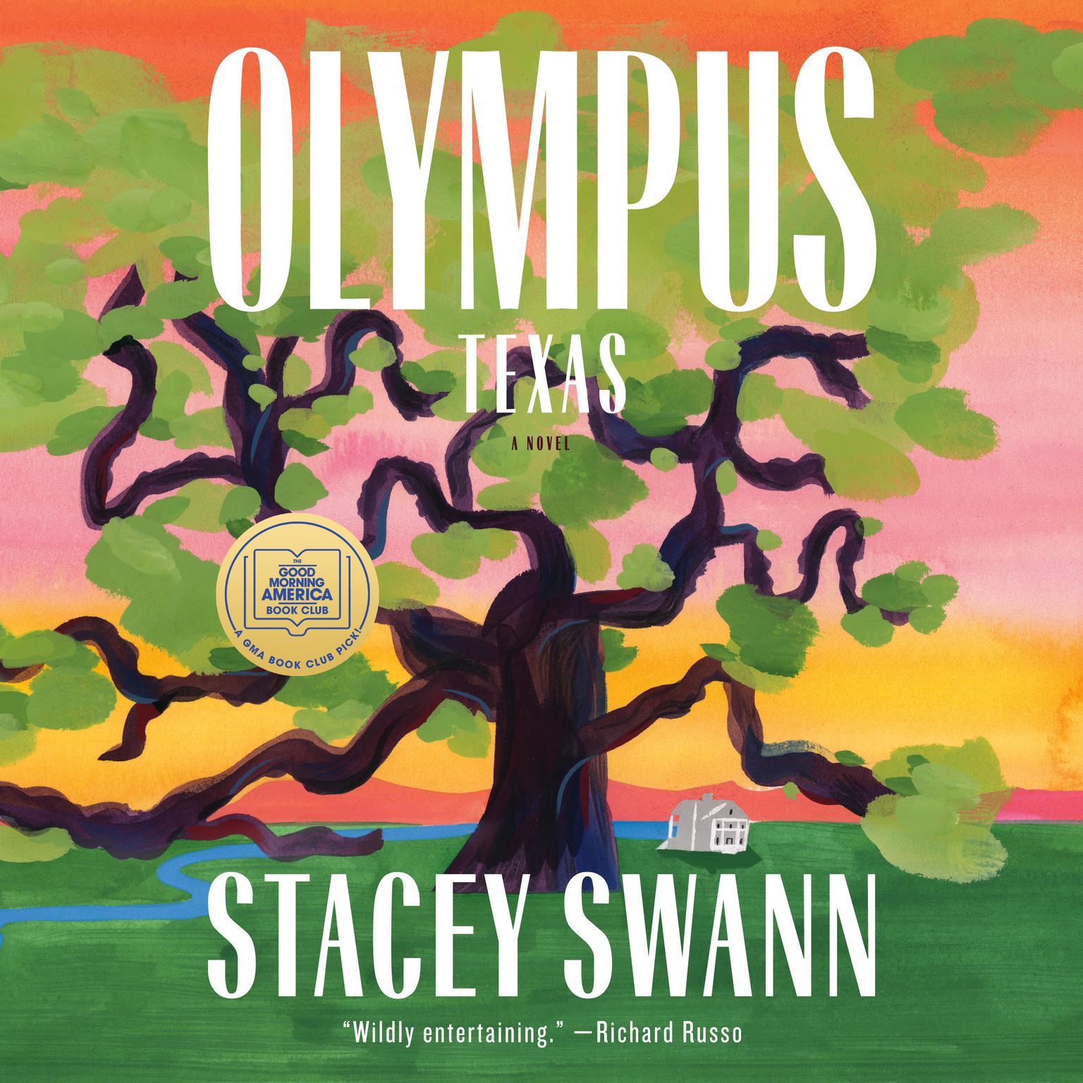 Olympus, Texas: A Novel Audiobook, by Stacey Swann