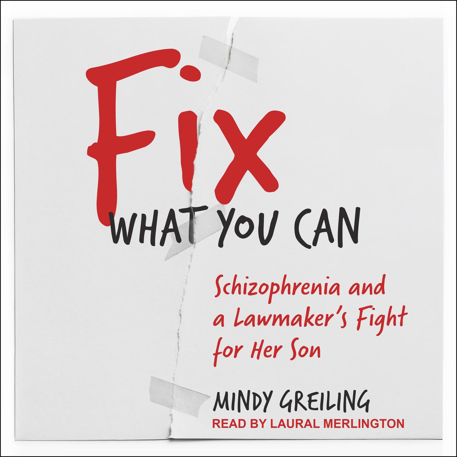 Fix What You Can: Schizophrenia and a Lawmaker’s Fight for Her Son Audiobook, by Mindy Greiling