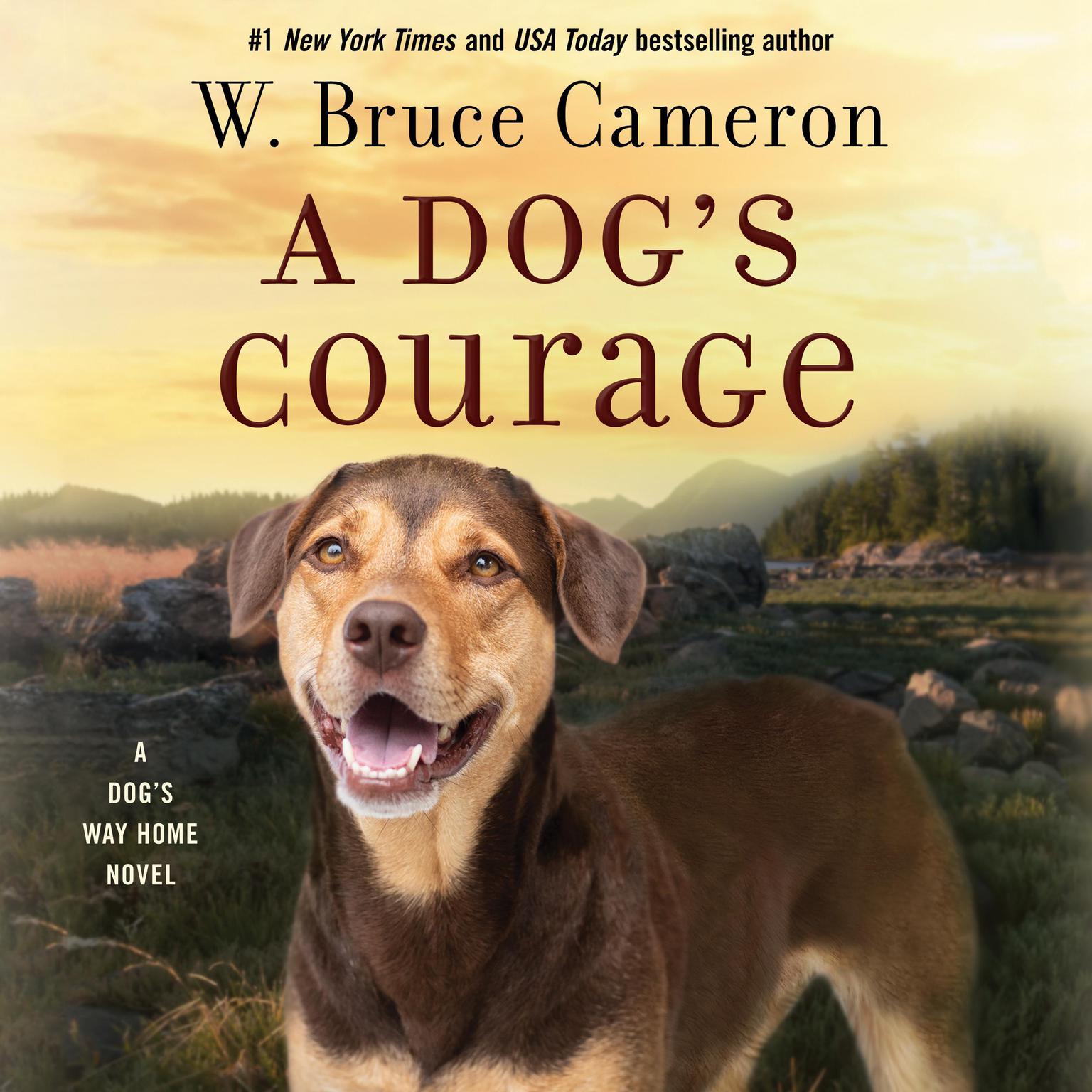 A Dogs Courage: A Dogs Way Home Novel Audiobook, by W. Bruce Cameron