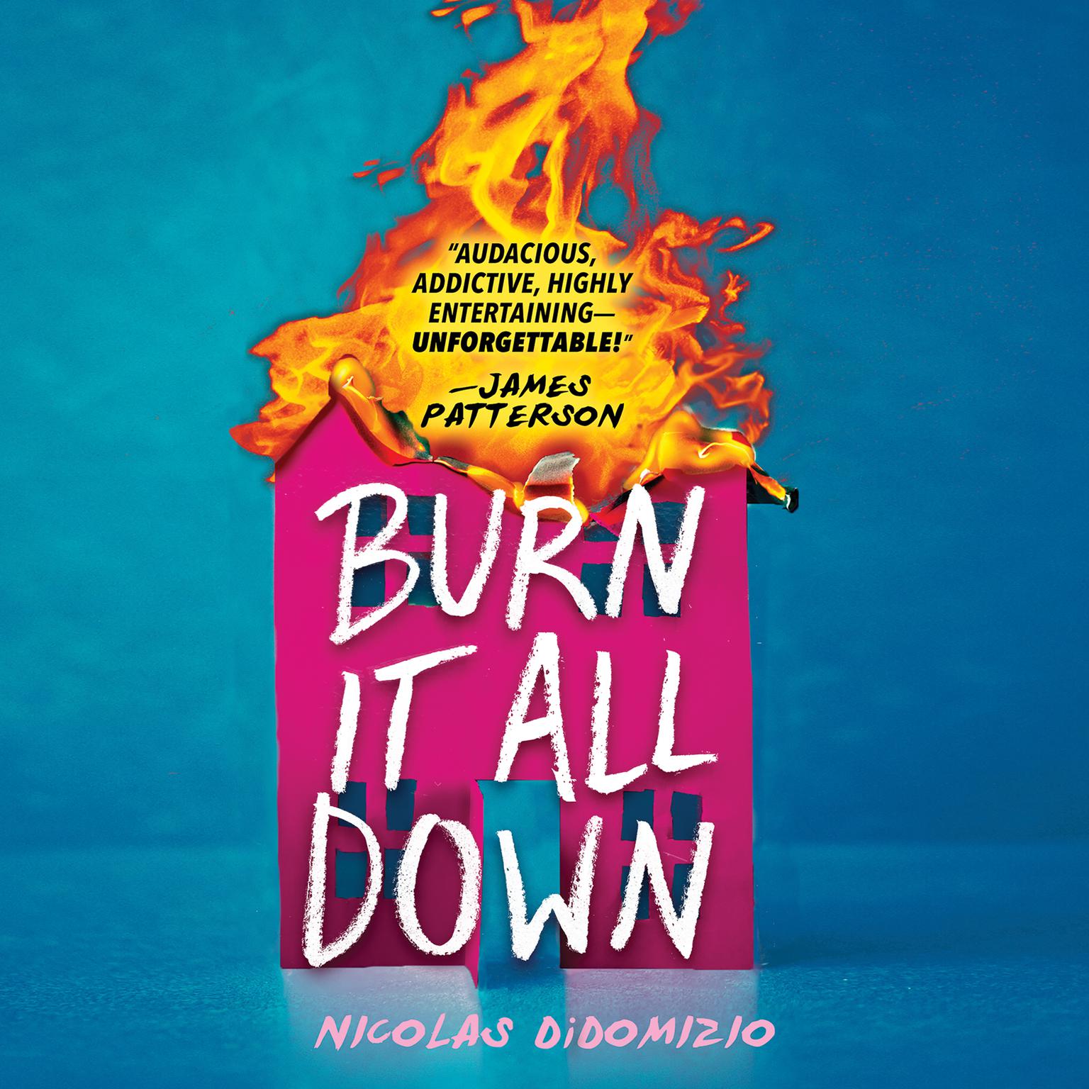 Burn It All Down Audiobook, by Nicolas DiDomizio