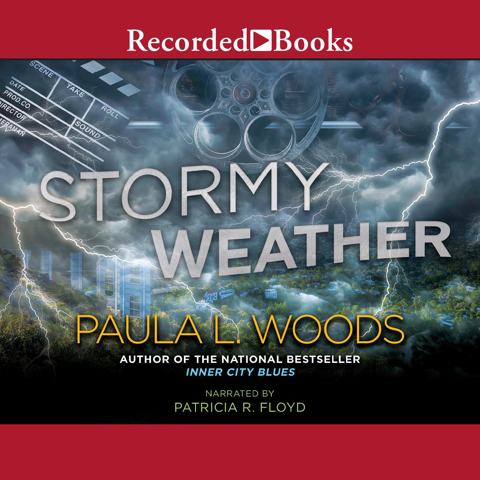 Stormy Weather Audiobook, by Paula Woods