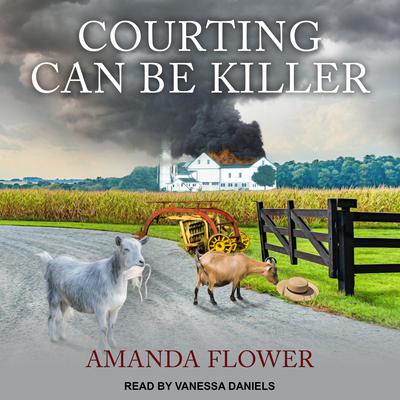 Courting Can Be Killer Audiobook, by 