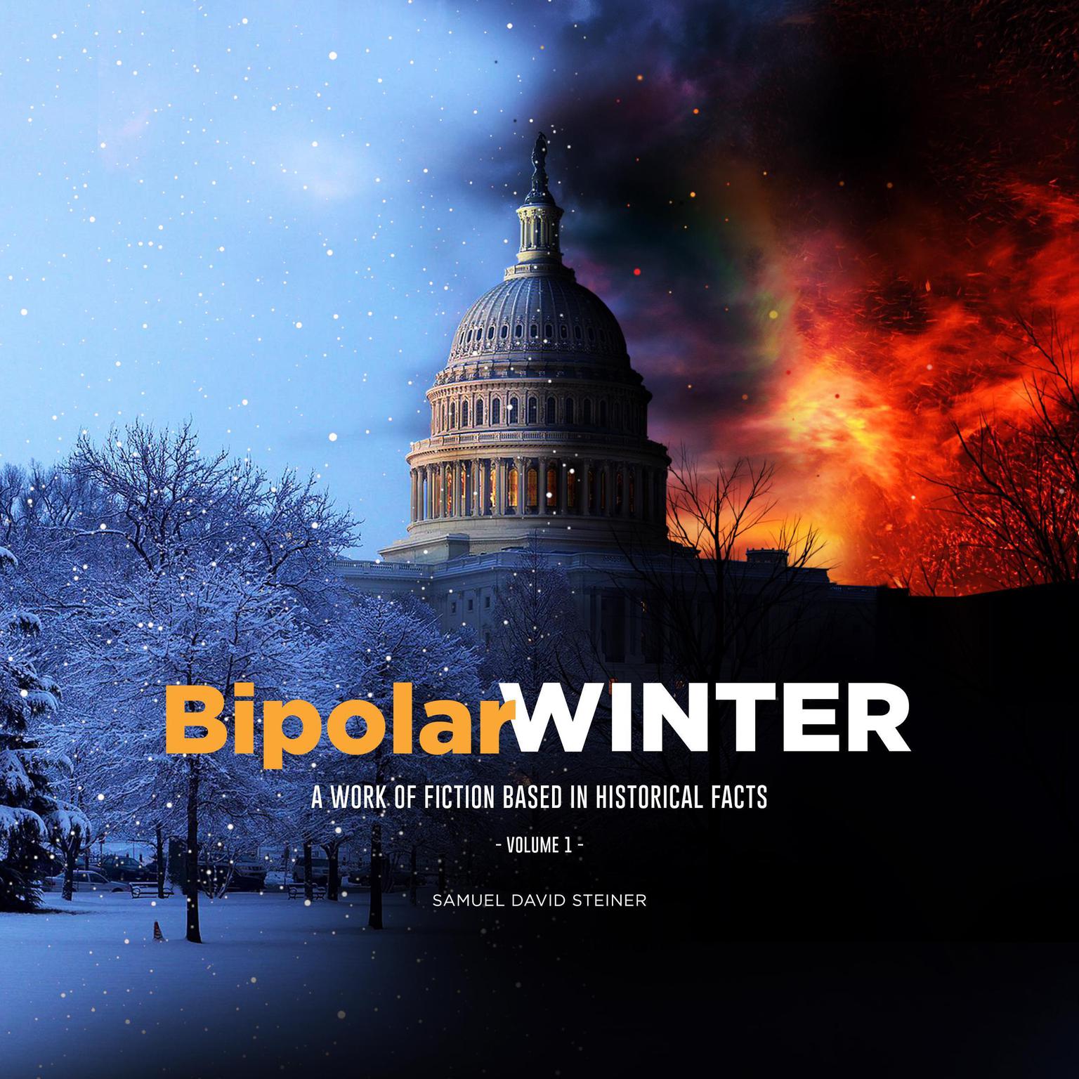 Bipolar WINTER Audiobook, by Samuel David Steiner