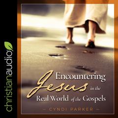Encountering Jesus in the Real World of the Gospels Audiobook, by Cyndi Parker