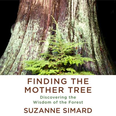 Finding the Mother Tree: Discovering the Wisdom of the Forest Audiobook, by 