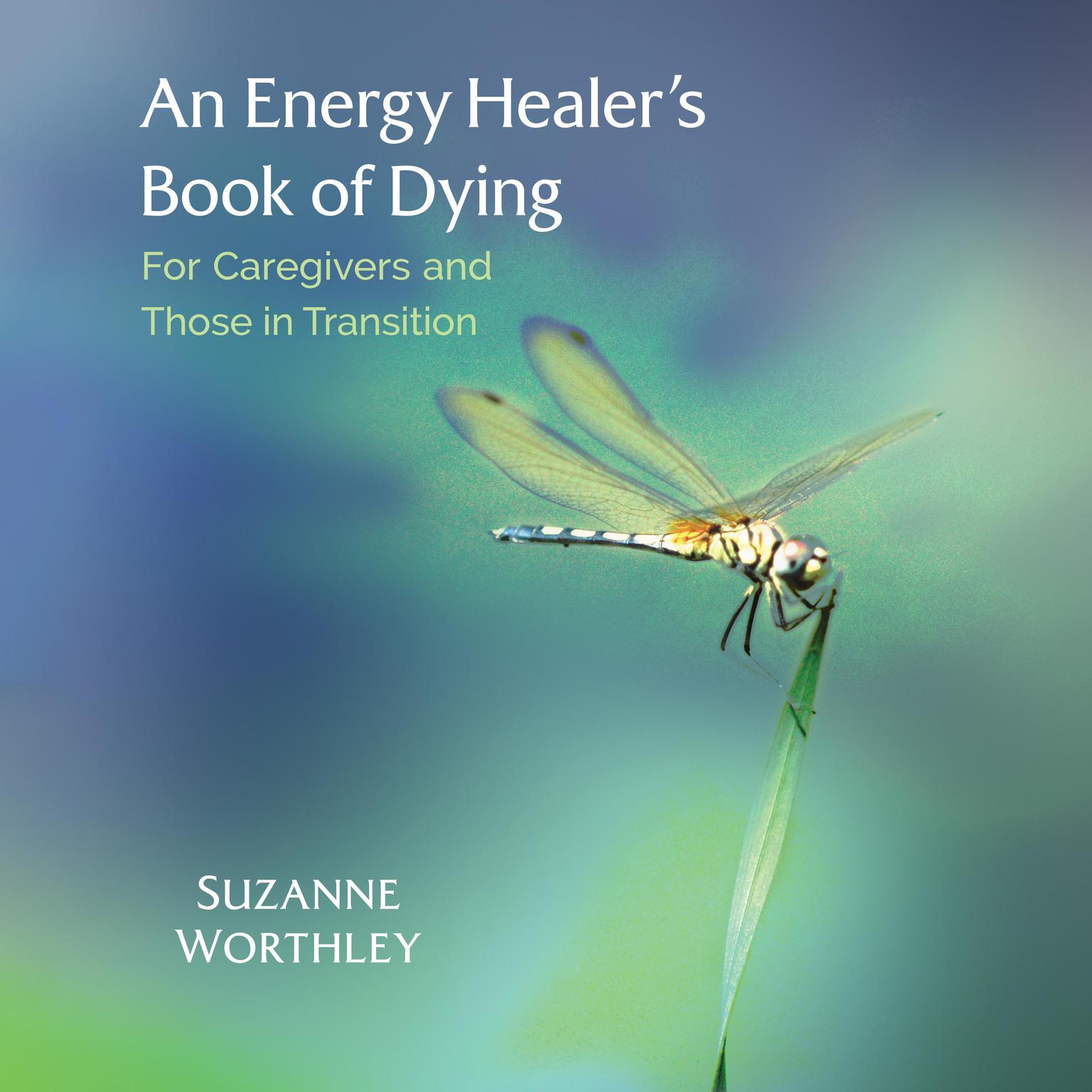 An Energy Healers Book of Dying: For Caregivers and Those in Transition Audiobook, by Suzanne Worthley