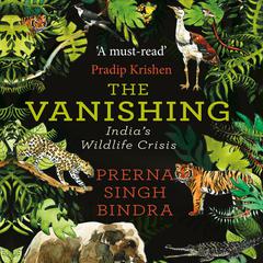 The Vanishing Audiobook, by Prerna Bindra