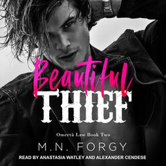 Beautiful Thief Audiobook, by M. N. Forgy