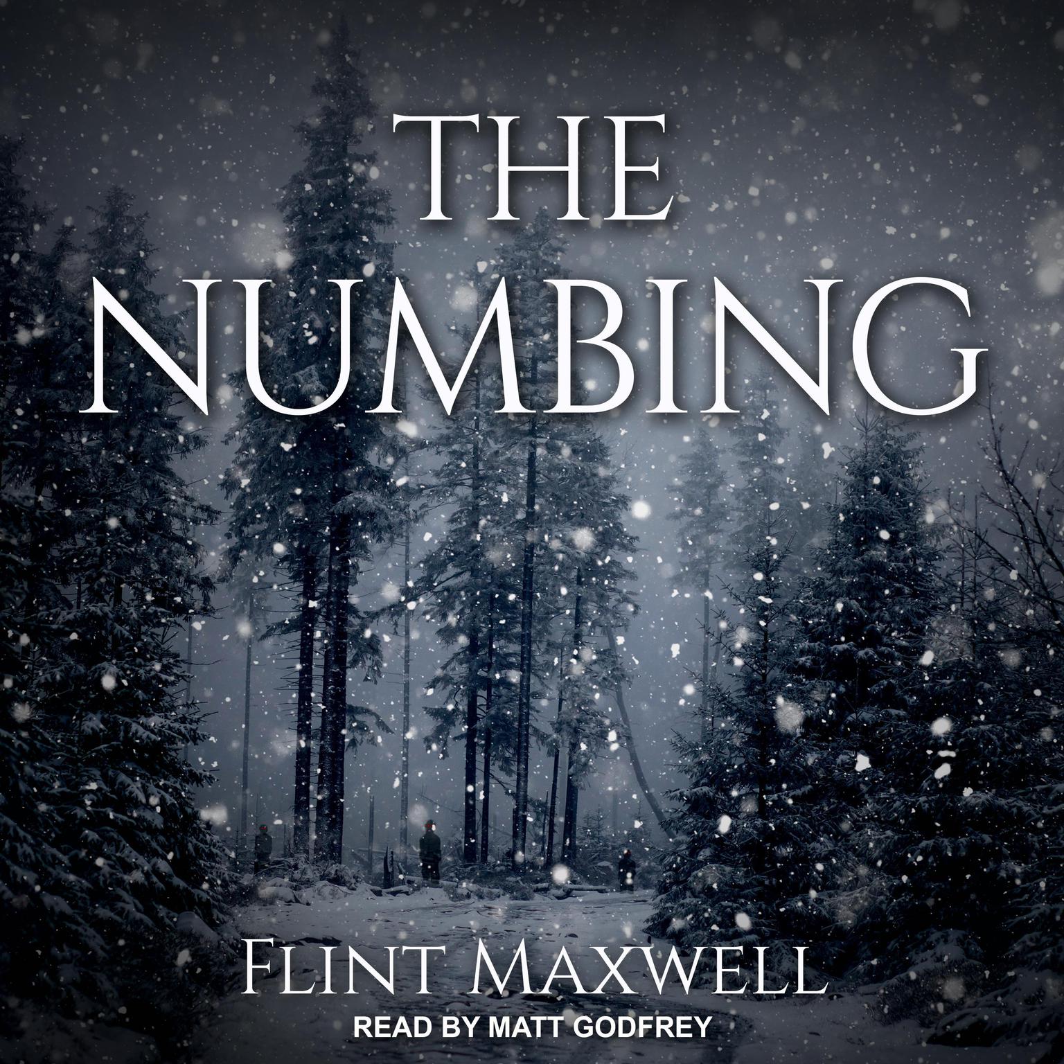 The Numbing Audiobook, by Flint Maxwell
