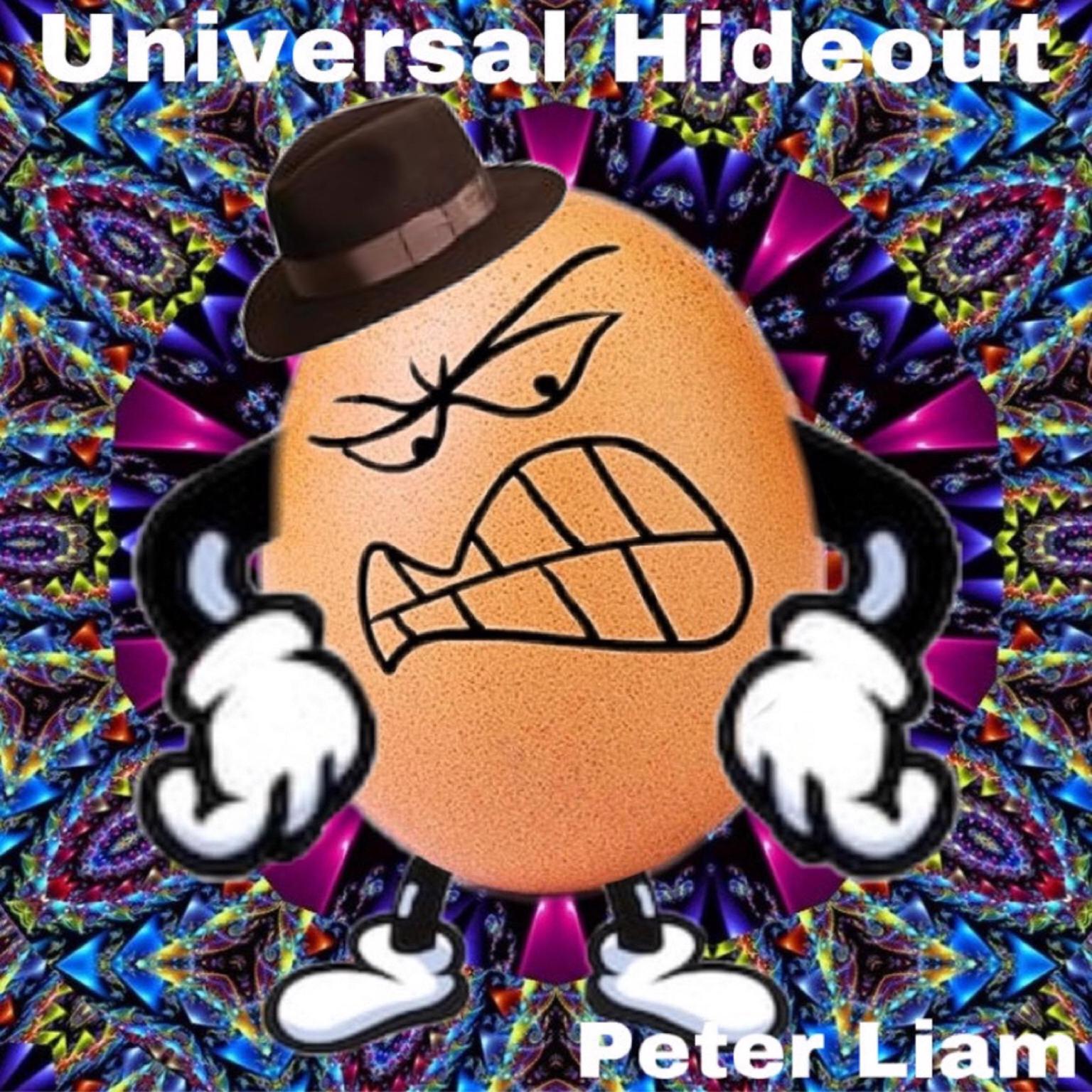 Universal Hideout Audiobook, by Peter Liam