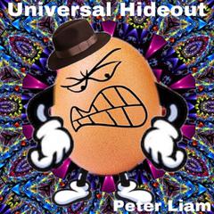 Universal Hideout Audiobook, by Peter Liam